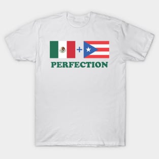 Funny Mexican Plus Puerto Rican Perfection Heritage Aesthetic T-Shirt